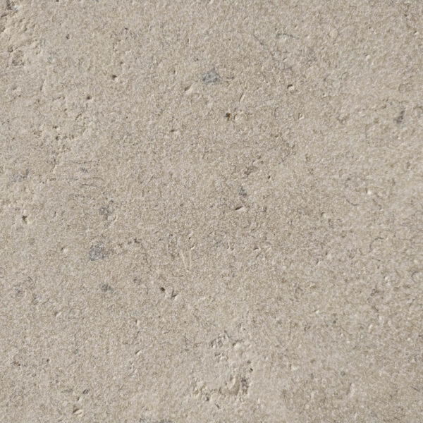 Persea Brossé – Image 3